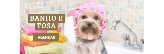 PetStop - Banho & Tosa