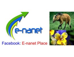 Facebook E-nanet Place